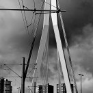Rotterdam The swam bridge